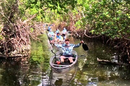 2 Hour Clear Kayak Tour at Emerson Point Preserve