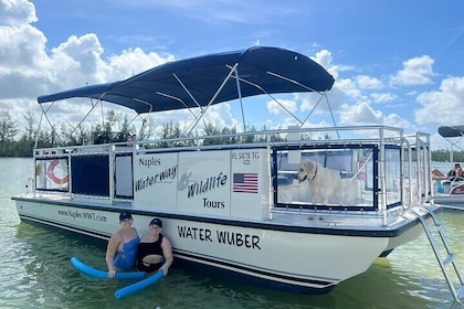5 Hour Keewaydin Island Beach Tour