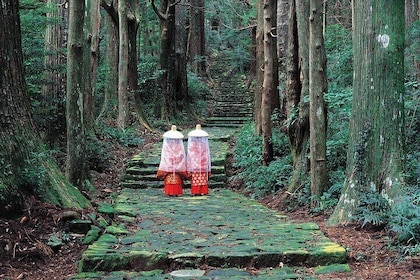 Kumano Kodo 2 Day Tour from Osaka