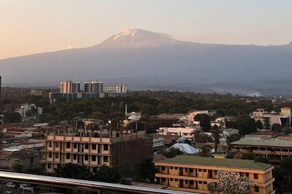 Explore Moshi town with local