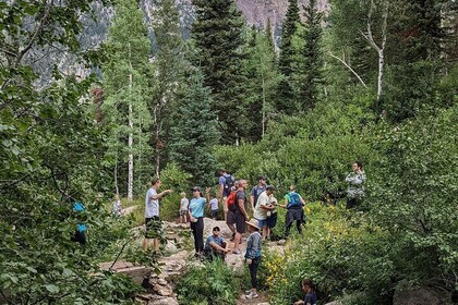 Salt Lake City's Top Guided Hiking Tour with Charcuterie board