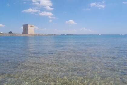 Swimming and Coastal Tour of Archeological Sites at Porto Cesareo