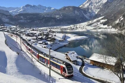 From Basel: Premium Panoramic train, Lucerne & Interlaken Tour