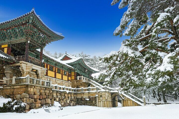 From Busan to Gyeongju UNESCO Legacy Tour with National Museum