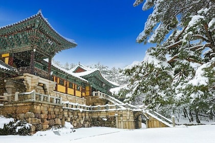 From Busan to Gyeongju UNESCO Legacy Tour with National Museum