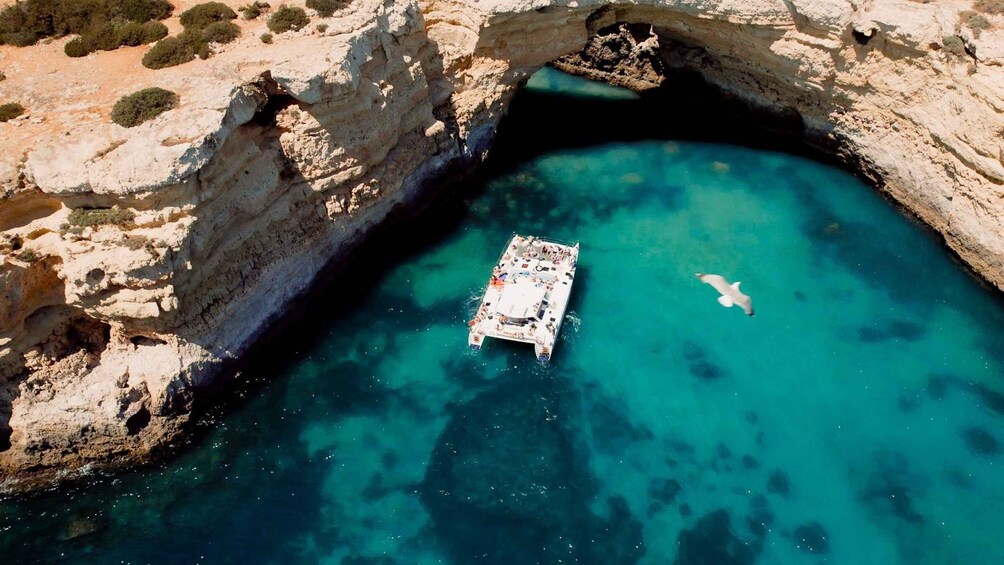 Picture 5 for Activity Catamaran Cruise: Caves and Coastline to Benagil