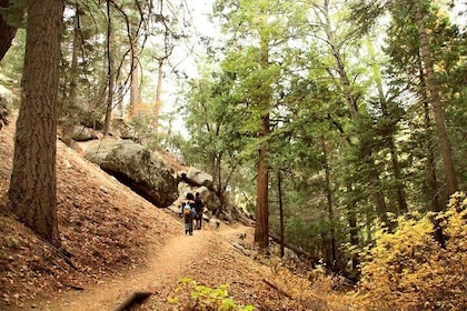 Idyllwild Day Tour