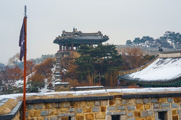 Suwon Fortress and Palace Tour with Optional Food Experience