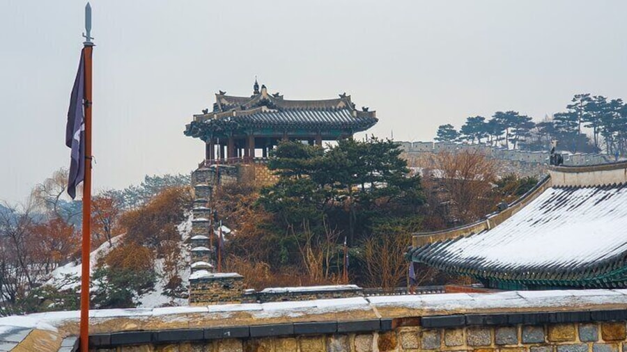 Suwon Fortress and Palace Tour with Optional Food Experience