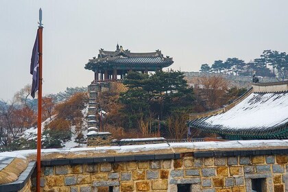 Suwon Fortress and Palace Tour with Optional Food Experience