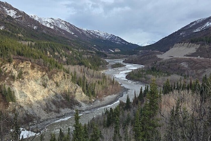 Denali National Park Shuttle