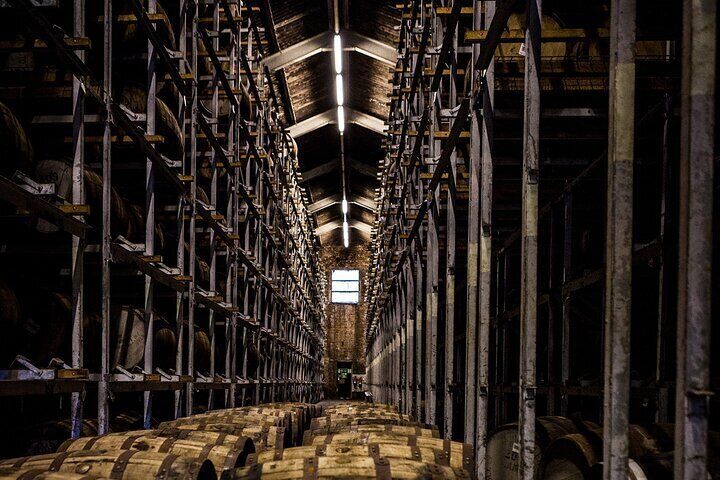Ky Bourbon Tours: Include Buffalo Trace and other 2 distilleries 