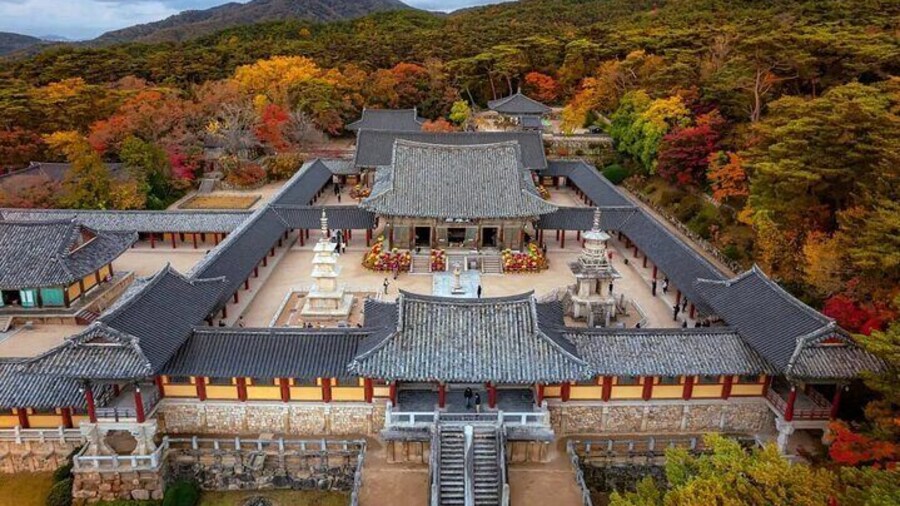 Explore Gyeongju's ancient timeless wonders on a day trip from Busan
