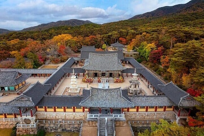 Gyeongju Historic Sites One Day Tour from Busan