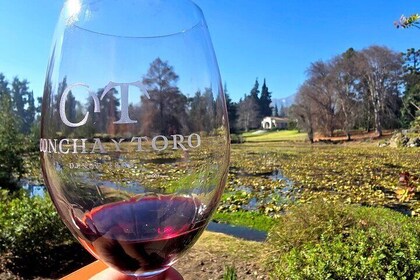 Concha y Toro Winery and Lapis Lazuli with Private Transport