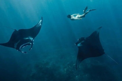 Start at Nusa Penida, Snorkeling Manta Rays + Land Tour shared