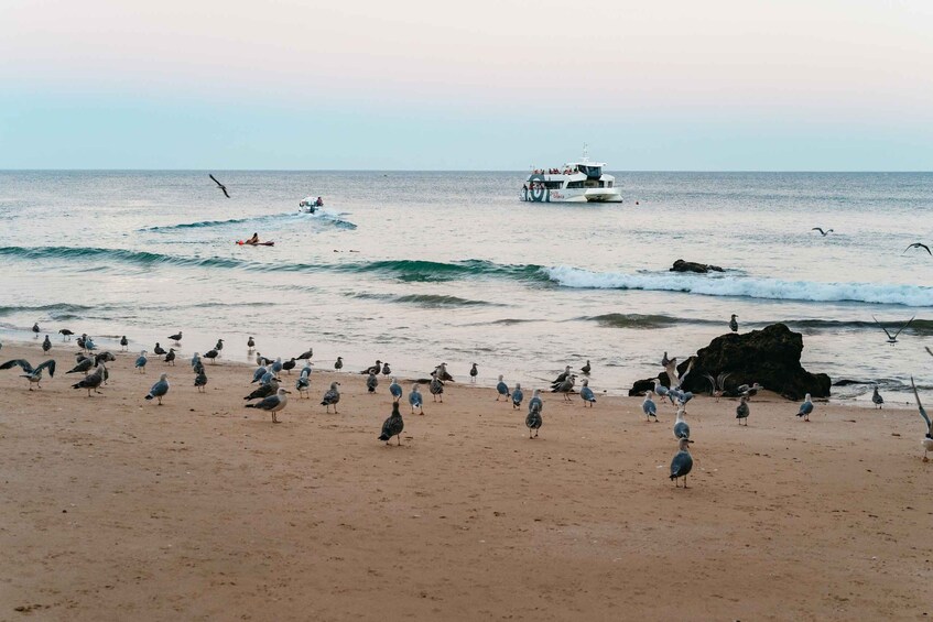 Picture 19 for Activity From Albufeira: Sunset Cruise and Beach BBQ with Open Bar