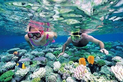 Nha Trang Beach Tour by Bus and Water