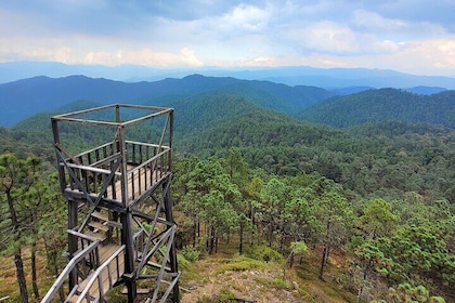 Explore Sierra Norte, Half-Day Hiking Adventure