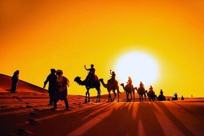 Sunset Desert Safari with Dune Bashing and Camel Rides Dinner