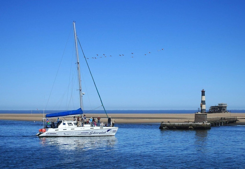 Picture 13 for Activity Walvis Bay: Marine Big 5 Luxury Catamaran Tour