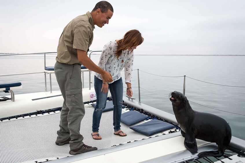 Picture 14 for Activity Walvis Bay: Marine Big 5 Luxury Catamaran Tour