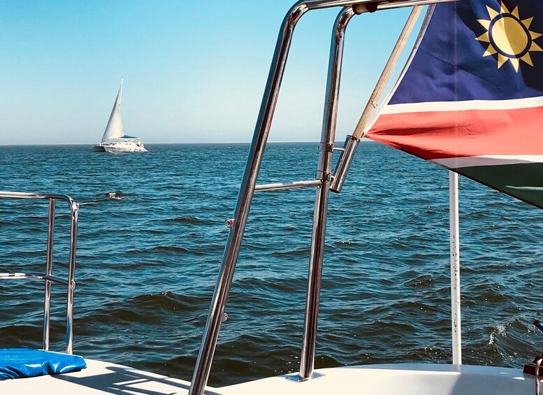 Picture 5 for Activity Walvis Bay: Marine Big 5 Luxury Catamaran Tour