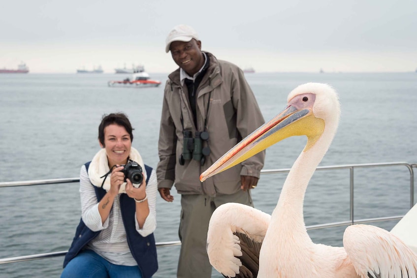 Picture 7 for Activity Walvis Bay: Marine Big 5 Luxury Catamaran Tour