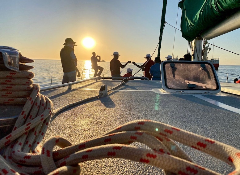 Picture 29 for Activity Walvis Bay: Marine Big 5 Luxury Catamaran Tour