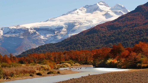 Bariloche: recorrido por Cerro Tronador