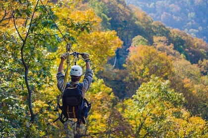 Epic Zipline Canopy Tour - The Gorge Zipline: Saluda, NC