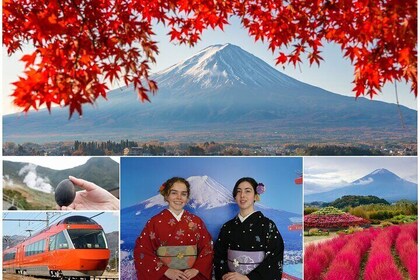 Mt. Fuji & Hakone Day Trip with Autumn Leaves & Kimono Experience