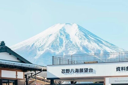 Mt. Fuji and Hakone Day Tour: Cruise, Ropeway and Oshino