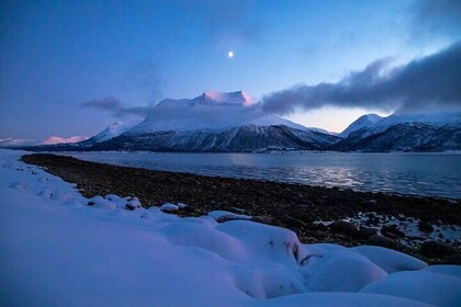 Tromsø: Arctic Landscapes & Fjords Photo Sightseeing Tour