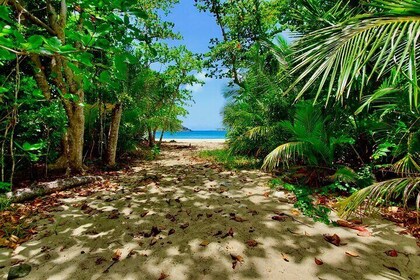 Private St Thomas Island Adventure with Beach Experience