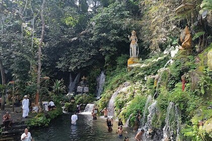 Jatiluwih Spiritual Journey of Melukat with Rice Terrace View