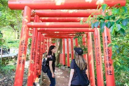 Discover Kanazawa with a Local: Private & Custom Tour