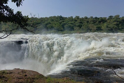 22-Day Safari Rwanda, Uganda, Kenya, Tanzania and Zanzibar