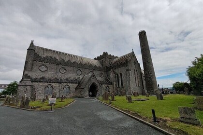 Waterford Crystal and Kilkenny City Private Tour