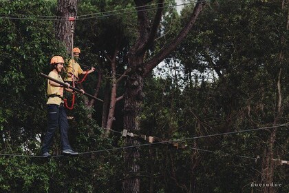 Adventure Park Il Pineto