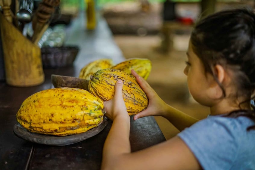 Picture 17 for Activity La Fortuna: Rainforest Chocolate Tour