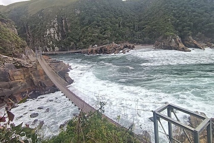 2 Day Tsitsikamma Adventure