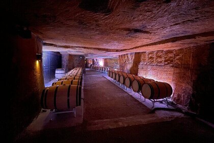 Wine tour Saint Emilion, sound and light show