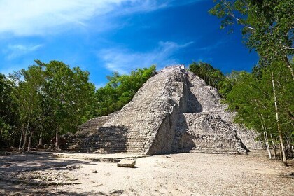 Cobá Ruins Mayan Village and Cenote Tour from Riviera Maya