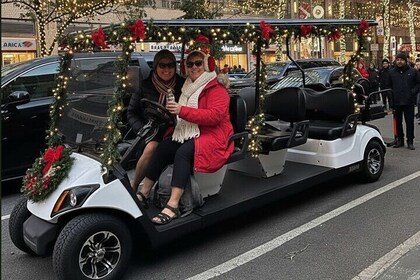NYC: New York History & Landmarks Guided City Tour by E-Cart