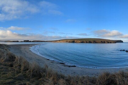 Up Helly Aa Viking Fire Festival and Shetland Tour from Edinburgh
