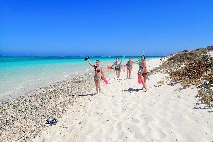 Ningaloo In A Full day Hike and Snorkel Tour