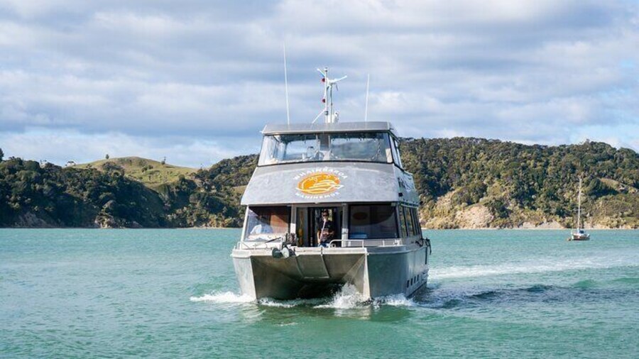 Raglan Scenic Nature Boat Cruise