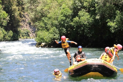 Rangitaiki Rafting Grado 2