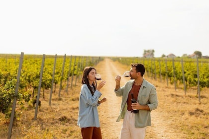 From Cádiz, Chiclana de la Frontera Winery Tour with Lunch